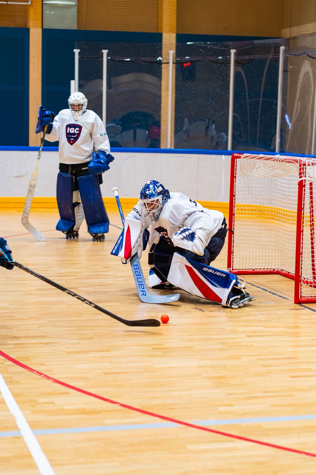 You are currently viewing Inline goalie camp